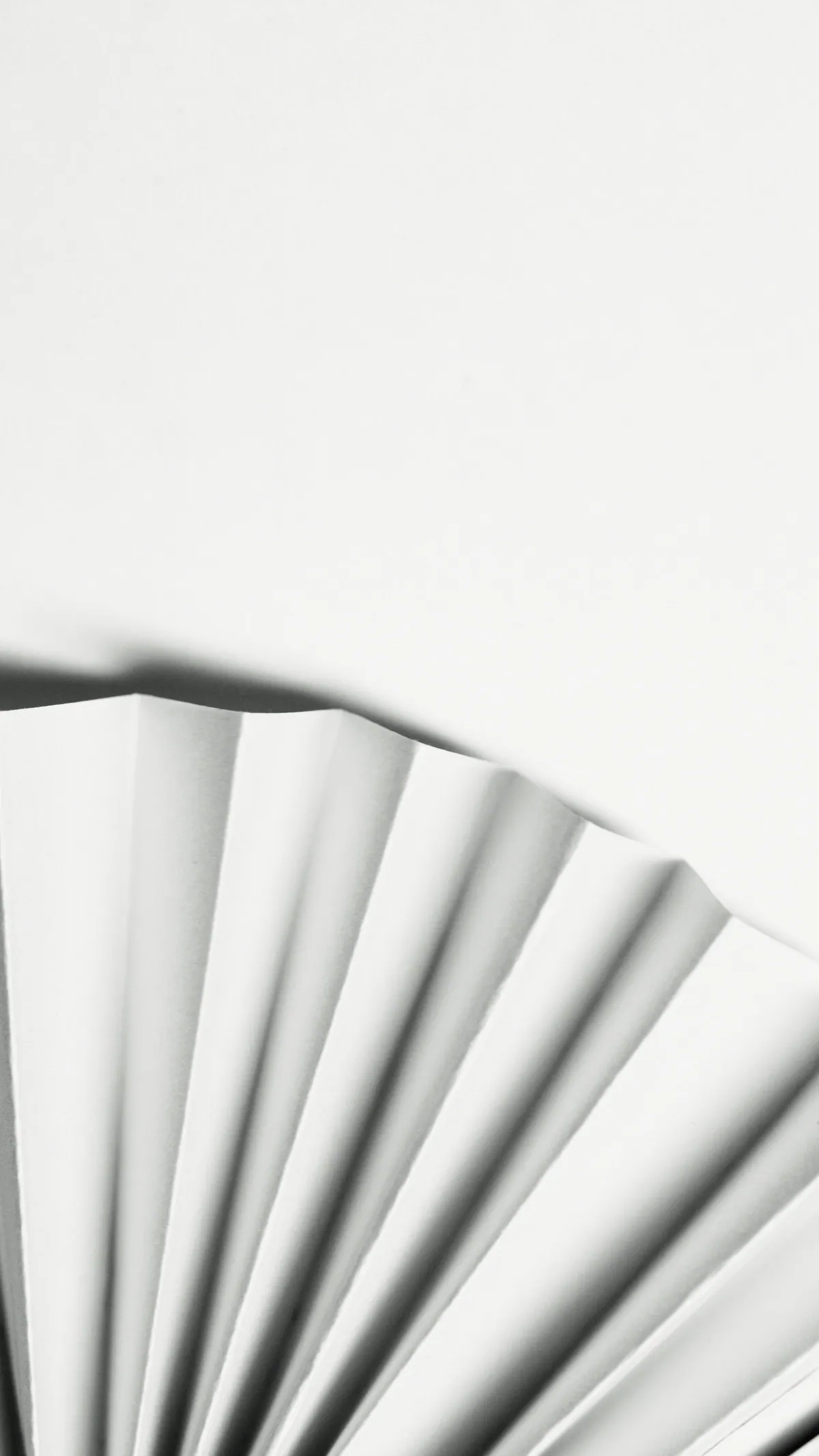 A fan of folded white paper opens into an unmarked field